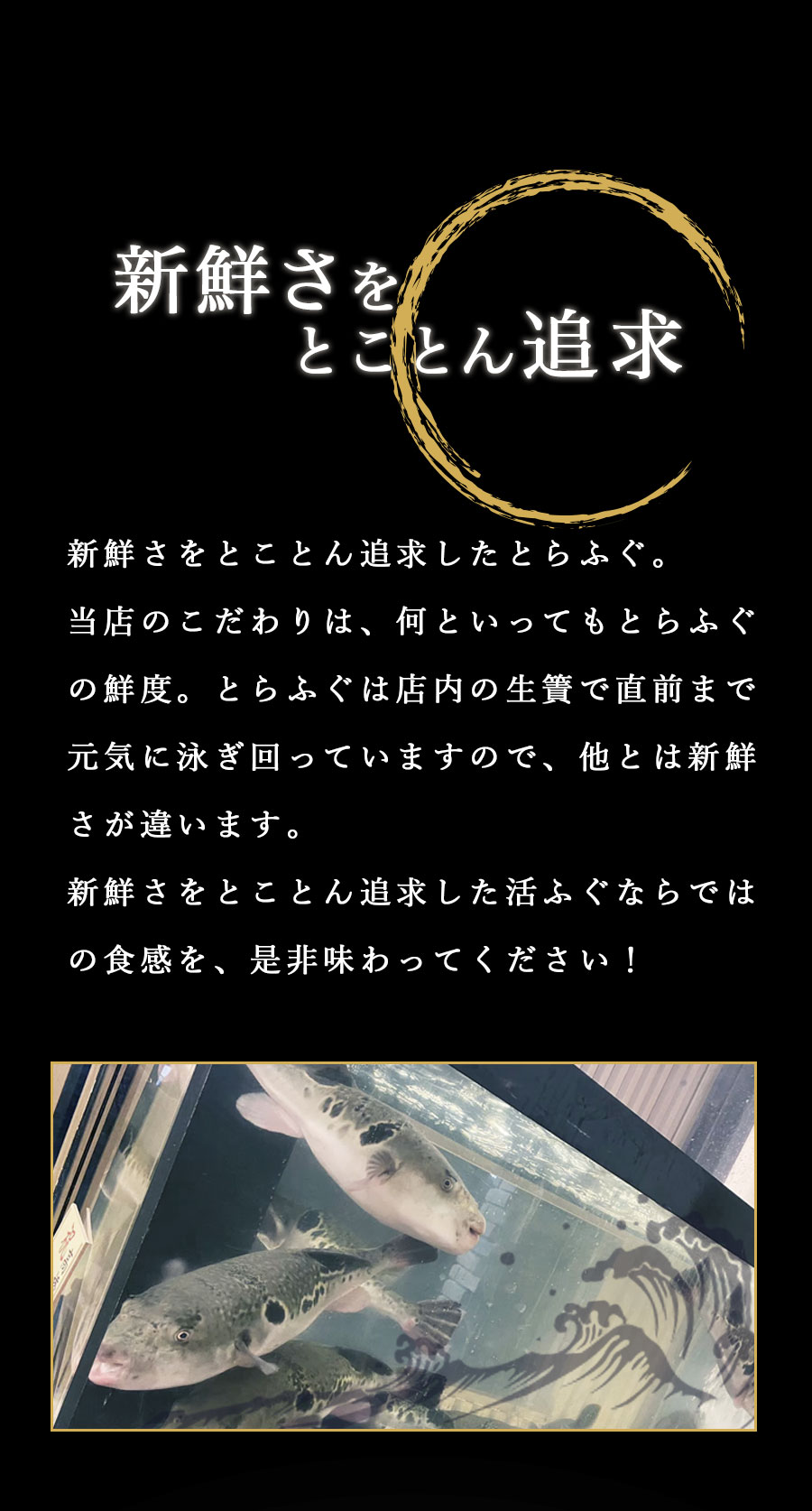 ふぐの隠れ家 新鮮さをとことん追求